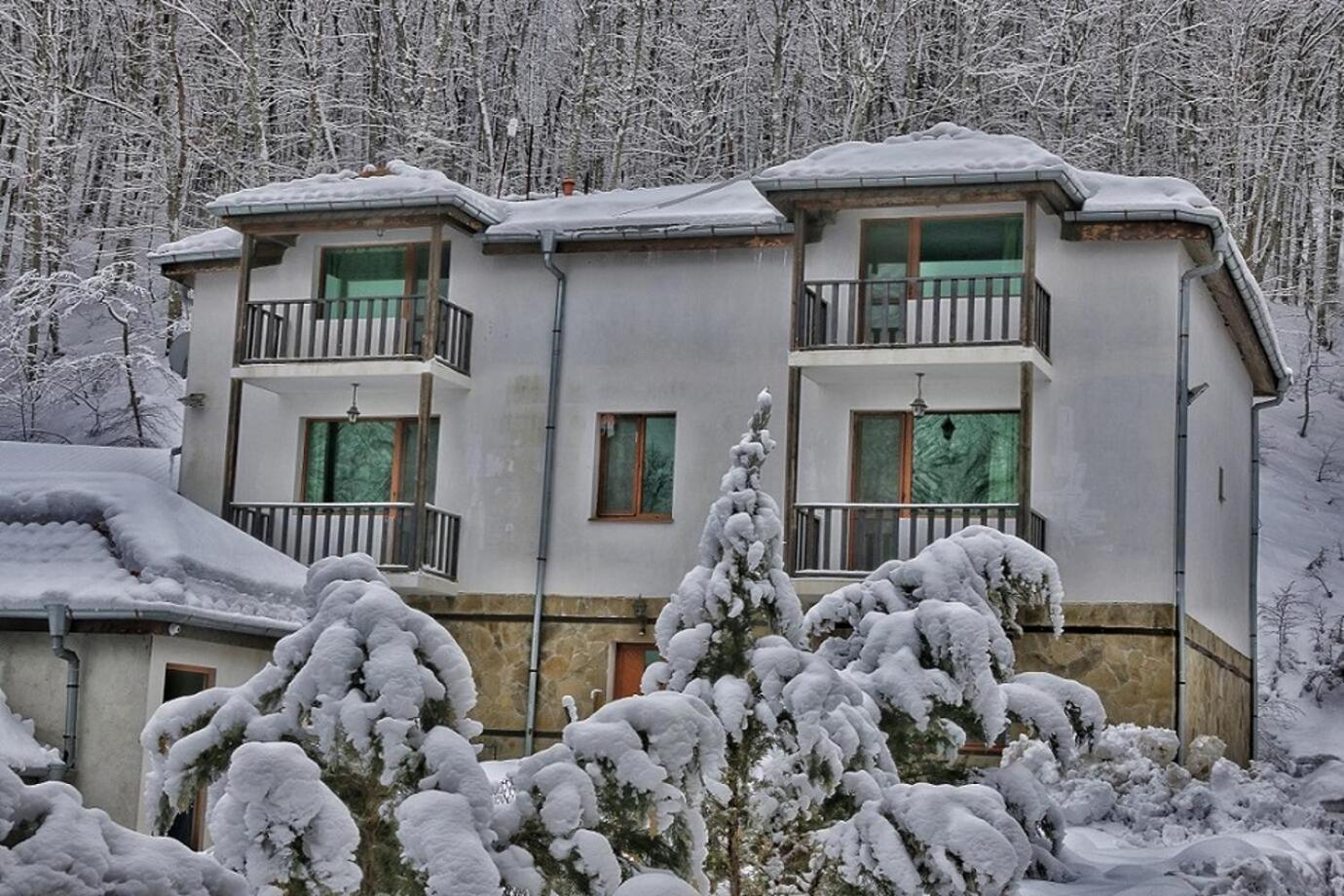 Рибарникъ Hotell Brŭshlyan Exteriör bild